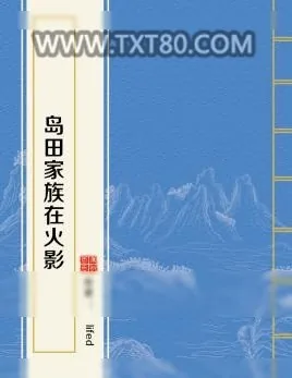 《岛田家族在火影》小说封面
