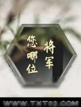 《将军，您哪位？》小说封面
