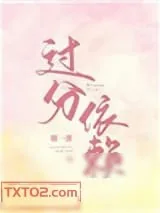 《过分依赖》小说封面