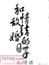 《和情敌结婚的日子》小说封面