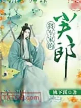 《将军家的小夫郎》小说封面
