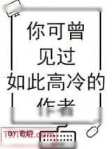 《你可曾见过如此高冷的作者》小说封面