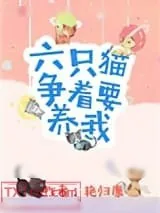 《六只猫争着要养我》小说封面