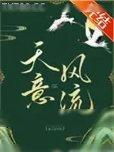 《天意风流》小说封面