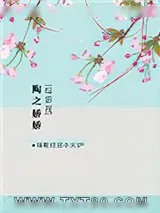 《[综影视]陶之娇娇》小说封面