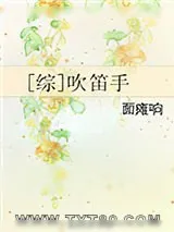 《[综]吹笛手》小说封面