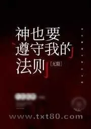 《神也要遵守我的法则[无限]》小说封面