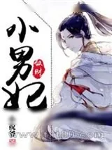 《敛财小男妃》小说封面