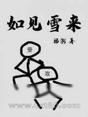 《如见雪来》小说封面