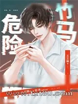 《我的危险性竹马》小说封面