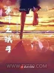 《七龙珠》小说封面