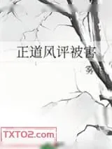 《正道风评被害》小说封面