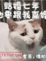 《结婚七年他要跟我离婚》小说封面