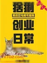 《猞猁创业日常》小说封面