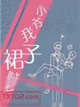《小爷我裙子贼多》小说封面