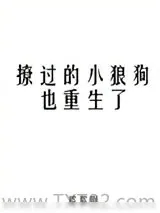 《撩过的小狼狗也重生了》小说封面