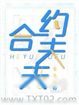 《合约夫夫》小说封面