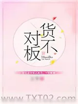 《货不对板》小说封面