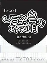 《[FGO]石头号是坏文明》小说封面