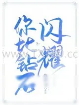 《你比钻石闪耀》小说封面