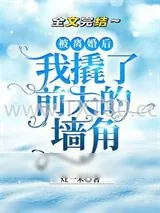 《被离婚后我撬了前夫的墙角》小说封面