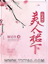 《[综武侠]美人裙下》小说封面