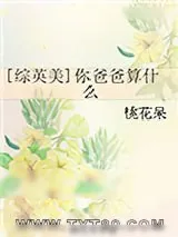 《[综英美]你爸爸算什么》小说封面