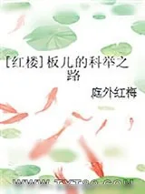 《[红楼]板儿的科举之路》小说封面