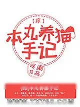 《[综]本丸养猫手记》小说封面
