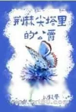 《荆棘尖塔里的公爵》小说封面