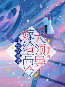 《退婚家暴男,嫁给高冷大领导!》小说封面