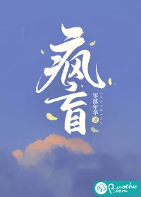 《疯盲》小说封面