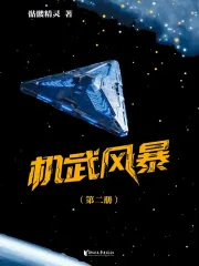 《机武风暴（第二册）》小说封面