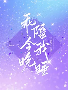 《乖,今晚陪我睡》小说封面