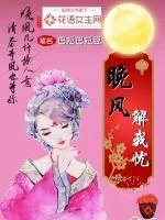 《晚风解我忧》小说封面