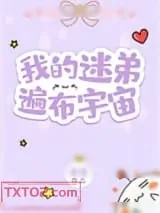 《我的迷弟遍布宇宙》小说封面