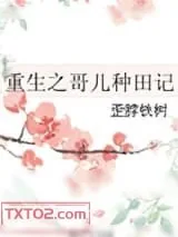 《重生之哥儿种田记》小说封面
