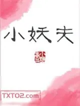 《小妖夫》小说封面