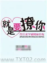 《撩人不成反被X/就是要撩你》小说封面