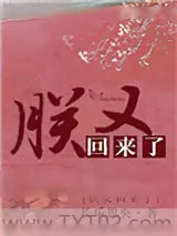 《朕又回来啦》小说封面