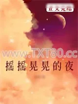 《摇摇晃晃的夜》小说封面
