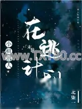《小机器人在逃计划》小说封面