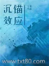 《沉锚效应》小说封面