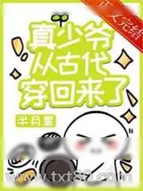 《真少爷从古代穿回来了》小说封面
