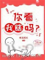 《你看我瞎吗？》小说封面