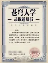 《万物风华录》小说封面