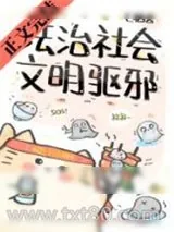 《法治社会，文明驱邪》小说封面