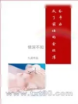 《踹了前任后我成为他的金丝雀》小说封面