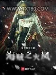 《海贼之火凤》小说封面
