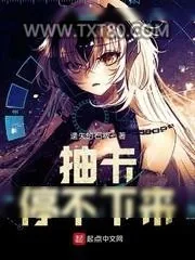 《抽卡停不下来》小说封面